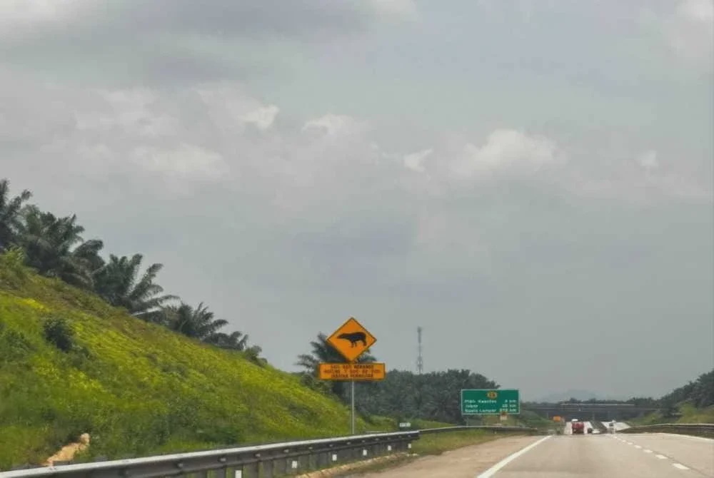Image from: LPT2 diarah tingkat rondaan malam, teliti pelaksanaan lampu LED