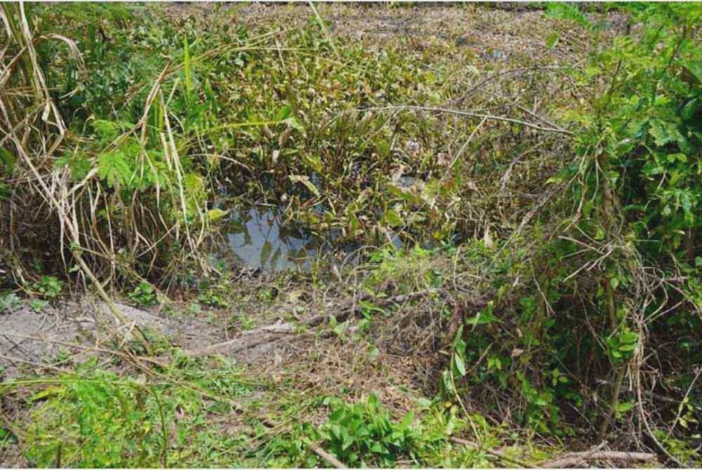 Image from: Lagi jumpa tulang manusia dalam guni, polis buka siasatan bunuh