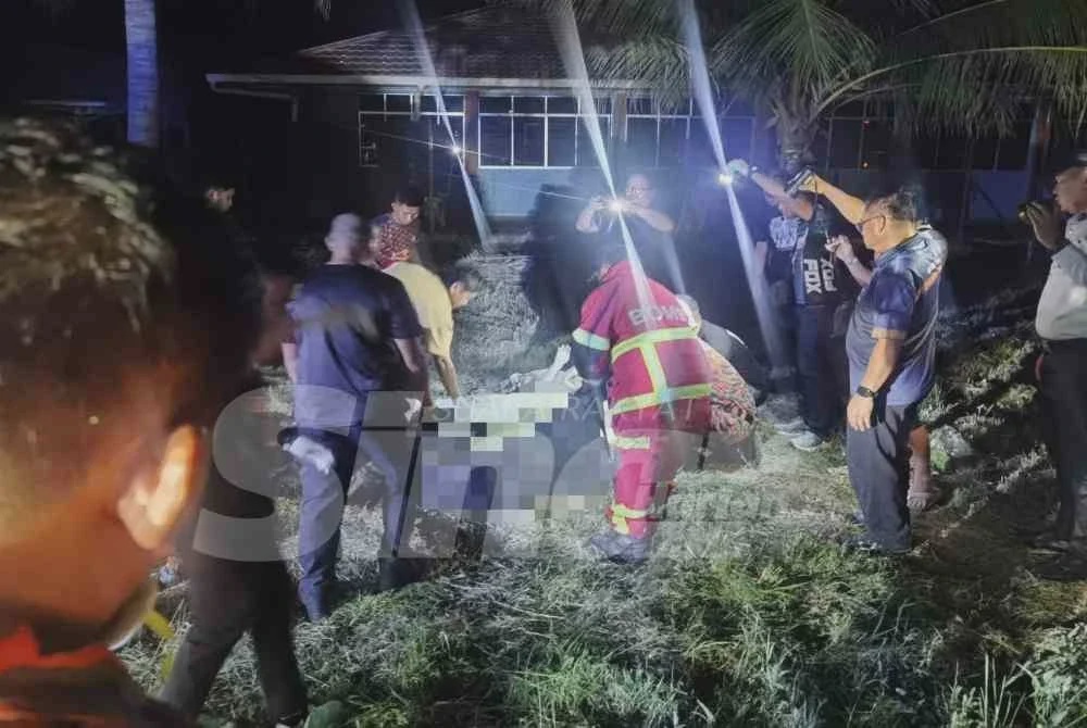 Image from: Jolok kelapa guna galah besi punca tiga polis maut terkena renjatan elektrik