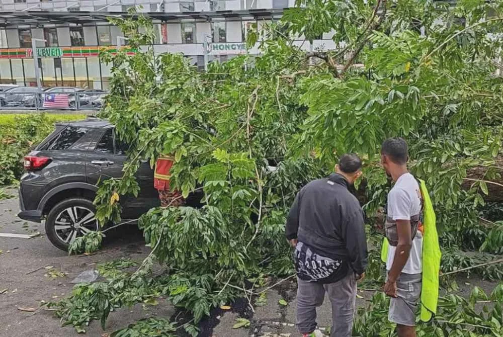 Image from: Pokok tumbang hempap kereta dinaiki suami isteri, cucu
