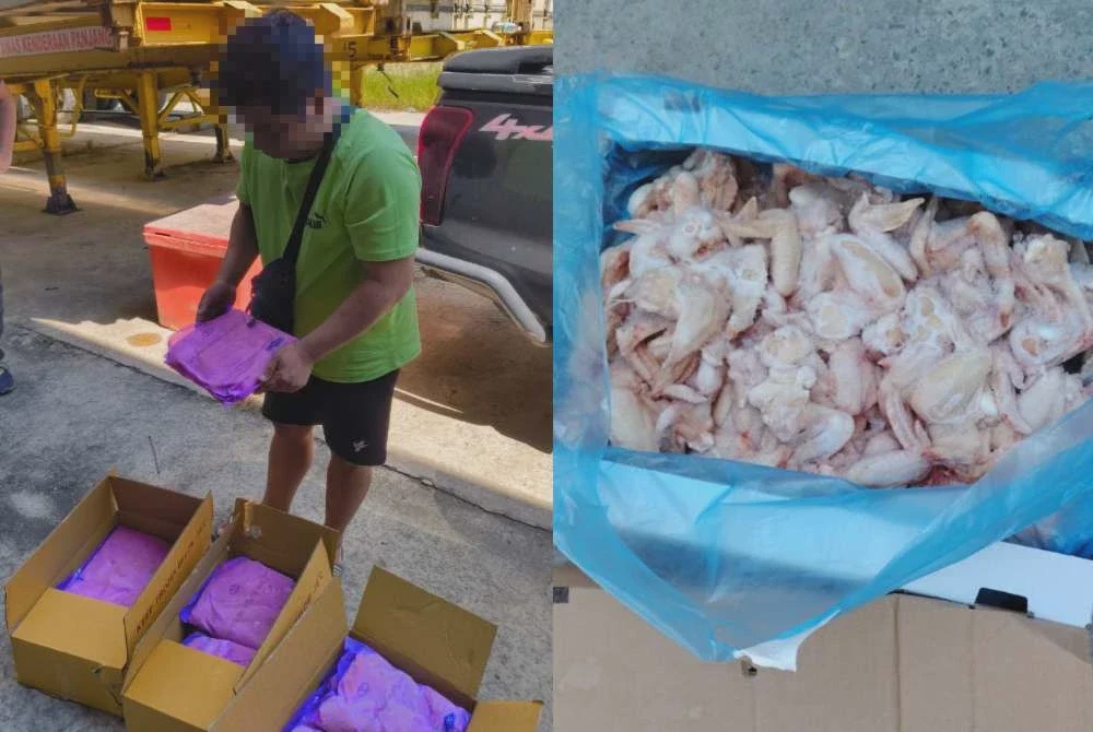 Image from: SPRM lumpuhkan sindiket import ayam sejuk beku tidak sah dari China