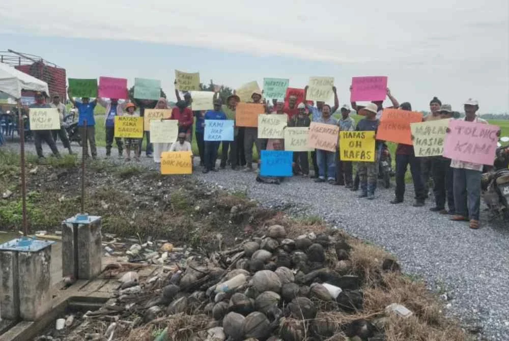Image from: 40,000 pesawah MADA masih belum terima baja tambahan