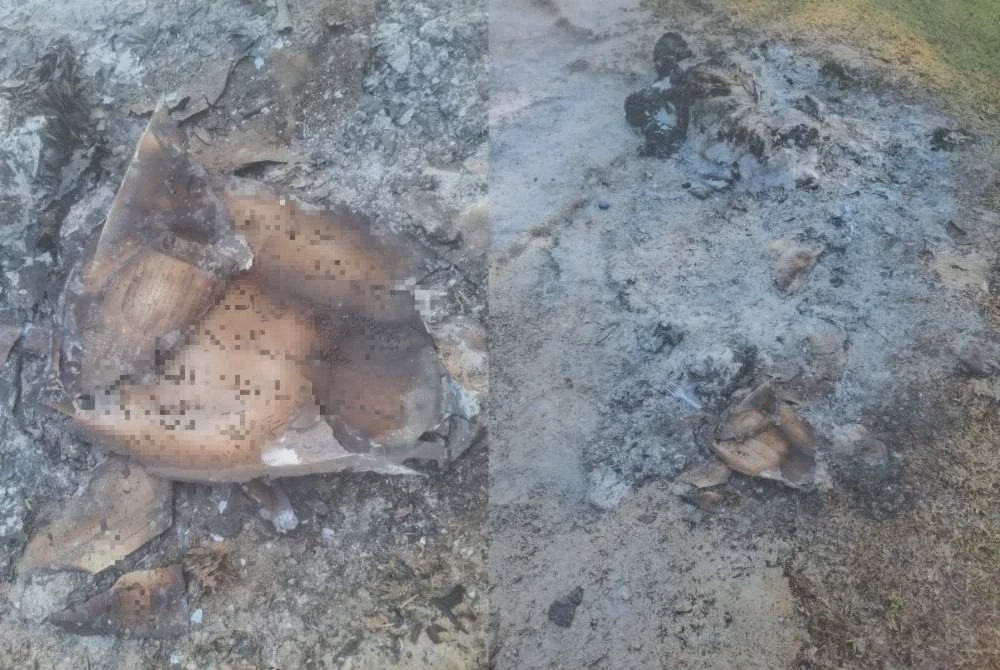 Image from: Penduduk gempar temui longgokan al-Quran dibakar tepi padang bola