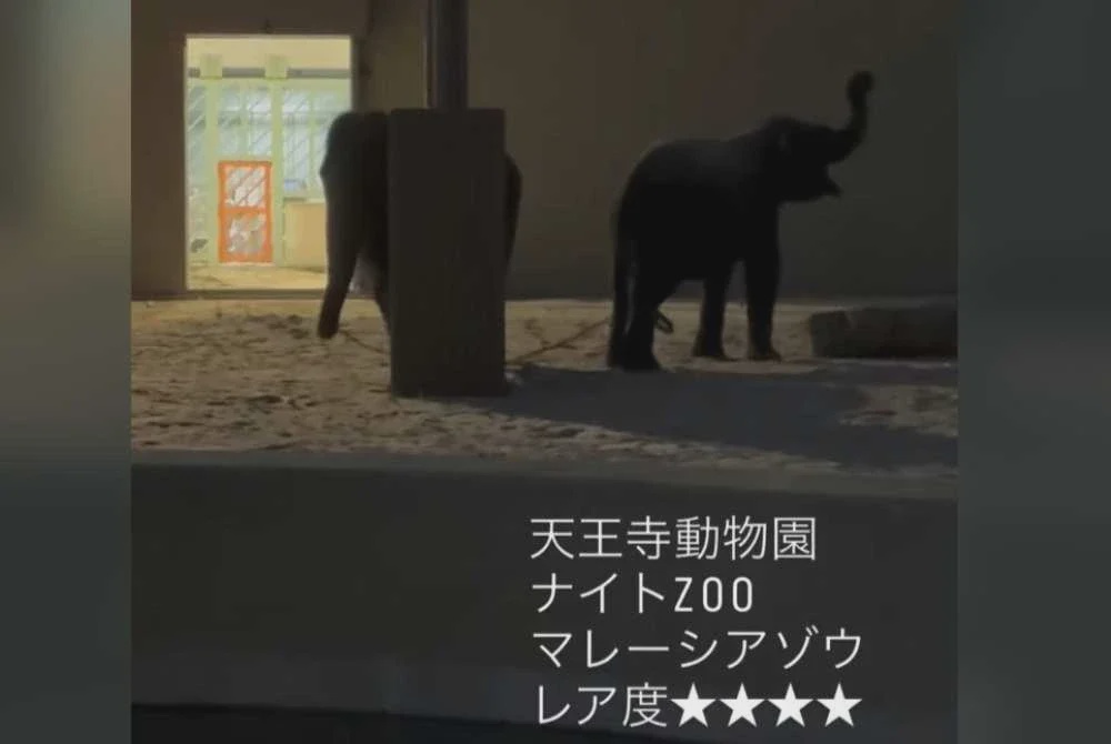 Image from: Jadual pameran DAK di Zoo Tennoji cetus persoalan kebajikan