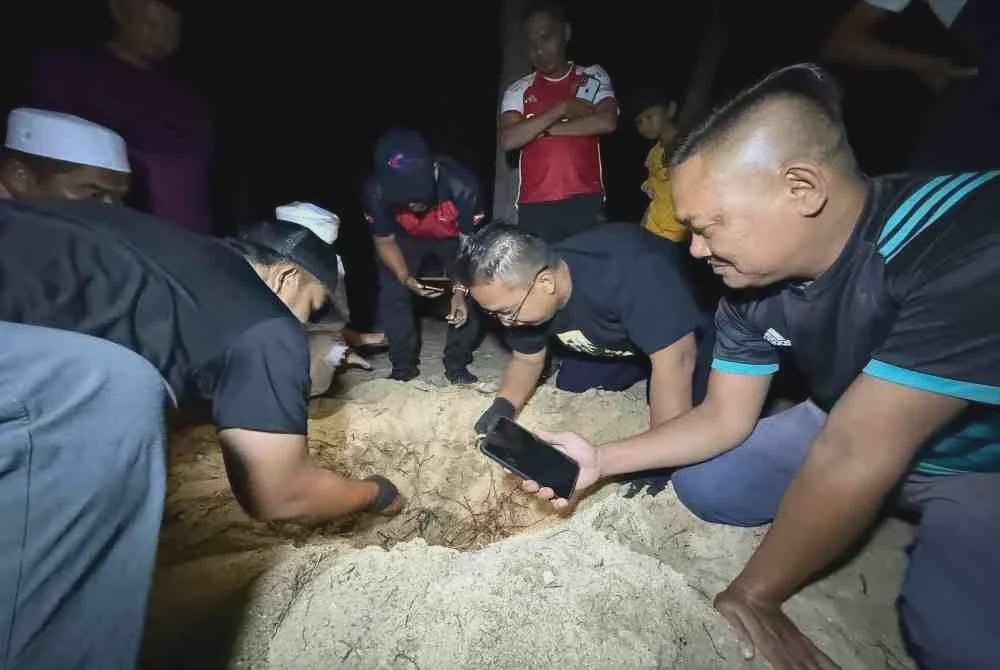 Image from: Selepas tiga dekad, penyu agar menetas di Kelantan