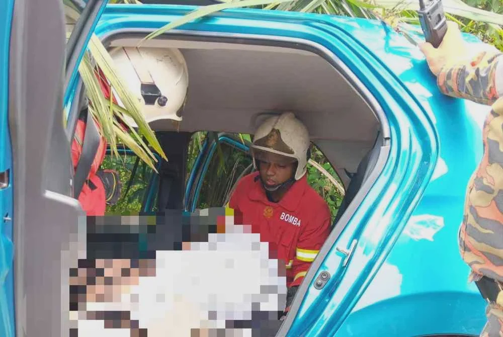 Image from: Nenek maut kereta dipandu cucu rempuh pokok