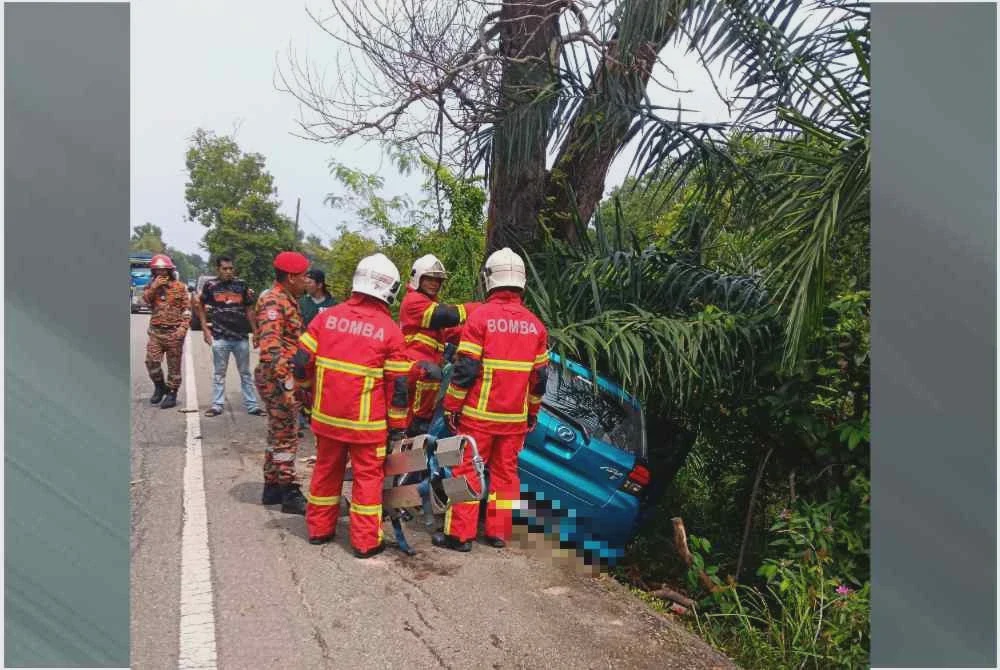 Image from: Nenek maut kereta dipandu cucu rempuh pokok