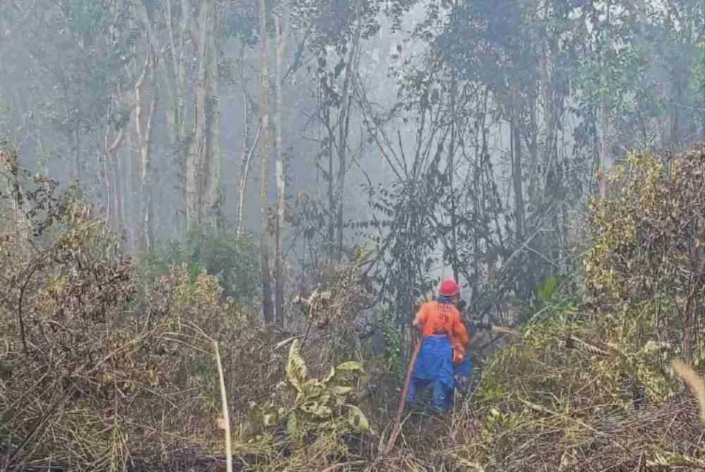 Image from: [VIDEO] Sumber air terhad, bomba berdepan cabaran padam kebakaran paya gambut