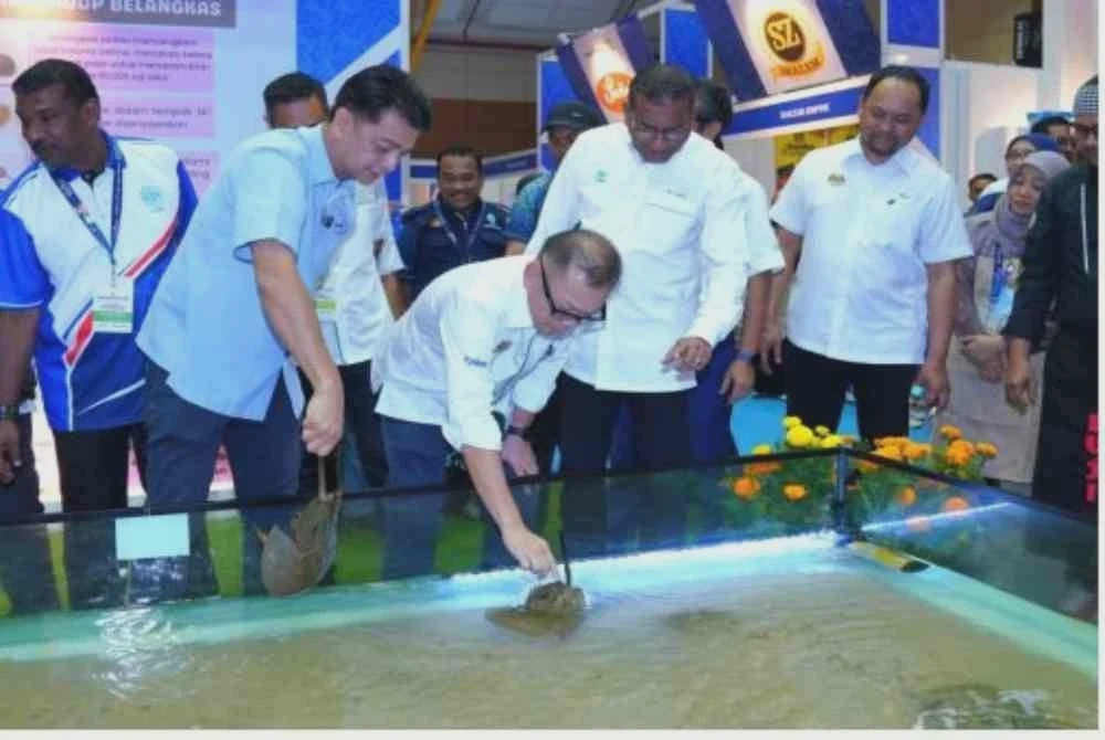 Image from: Tuna sirip kuning, belut antara tarikan MySE 2026