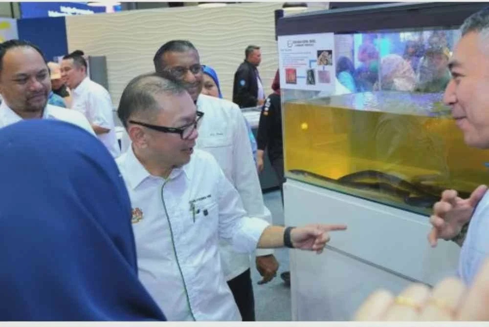 Image from: Tuna sirip kuning, belut antara tarikan MySE 2026