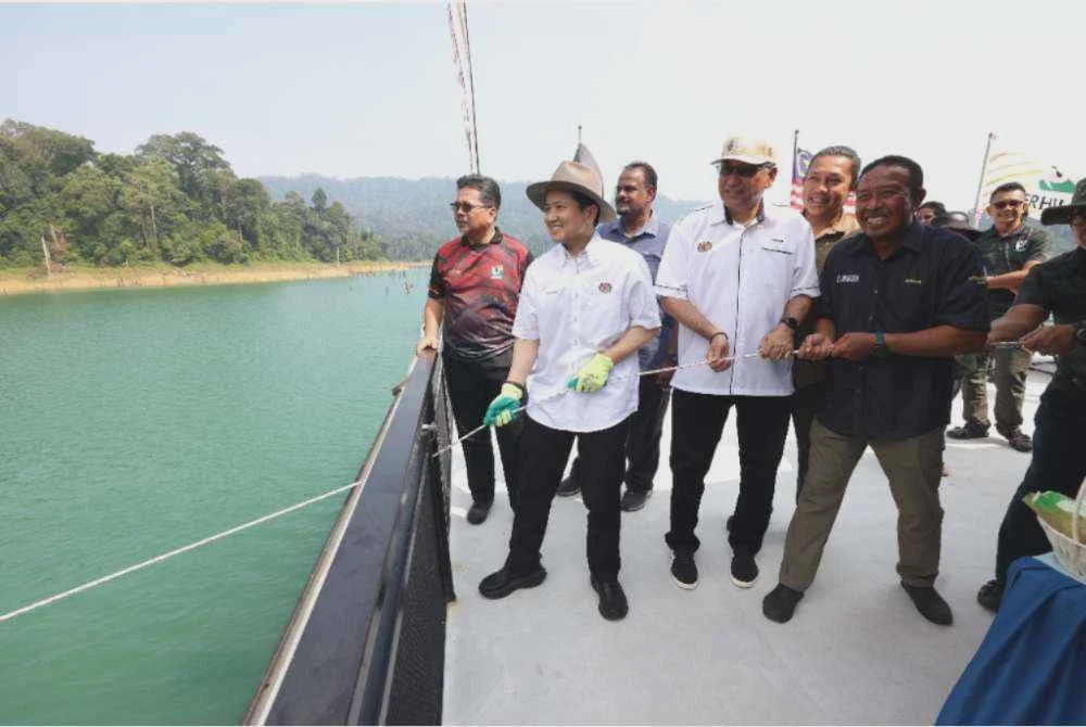 Image from: Harimau Malaya ‘Yong Choh’ kembali ke Tasik Kenyir