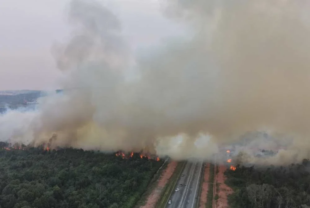Image from: 27 hektar kawasan hutan, gambut terbakar di Pengerang