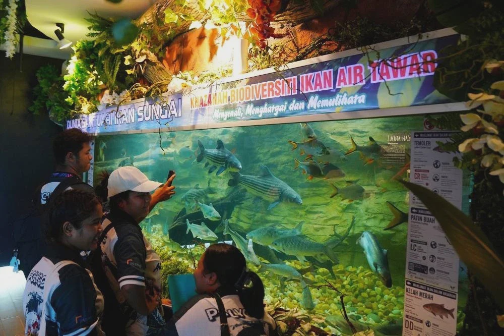 Image from: MAHA 2026: Rindu terubat, nostalgia tercipta