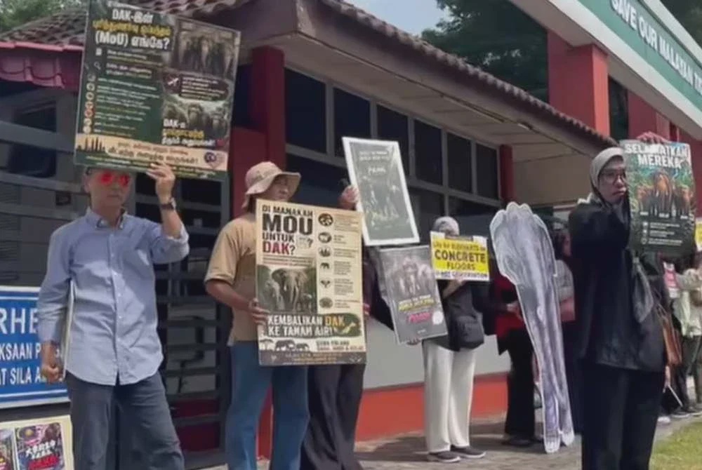 Image from: Perhilitan diminta jawab isu DAK, desak bawa pulang tiga gajah dari Jepun