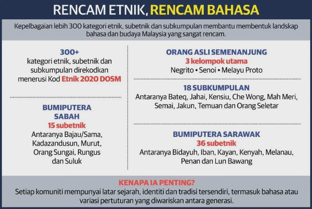 Image from: Anak tak lagi warisi bahasa ibu bapa