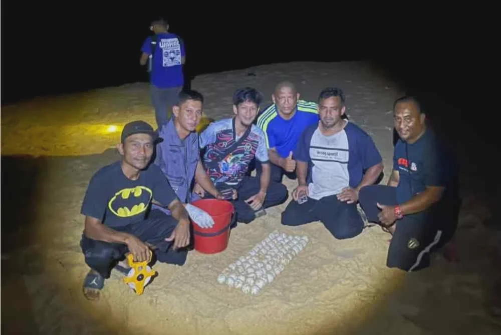 Image from: Penyu belimbing mendarat, bertelur di Pantai Kuala Abang