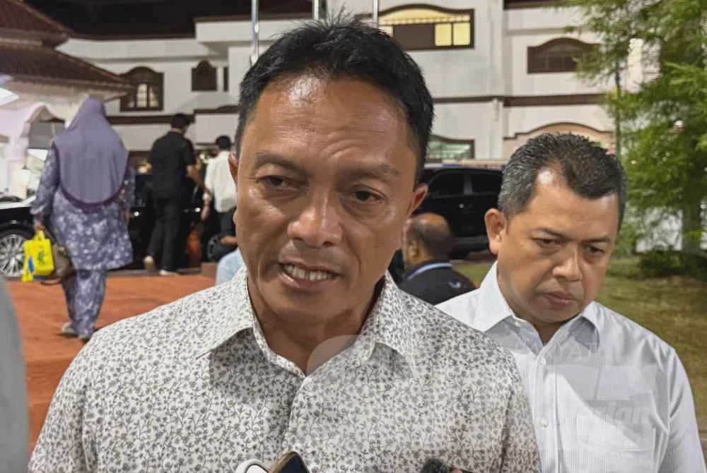 Image from: Ab Rauf mahu wujudkan IPD Hang Tuah Jaya jika sekali lagi diberi mandat