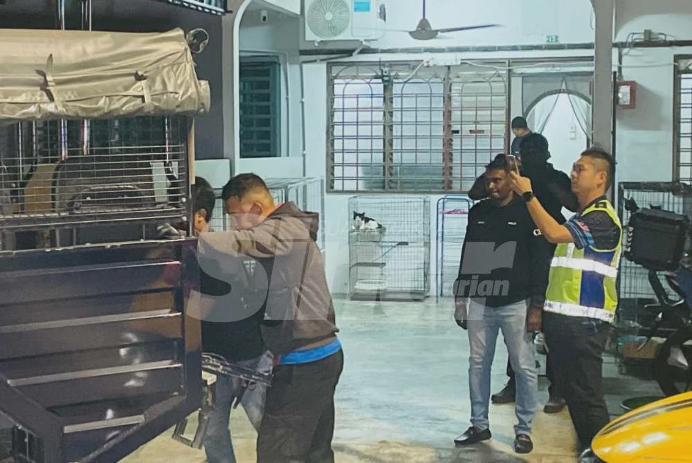 Image from: Ibu maut dipercayai ditikam anak sendiri