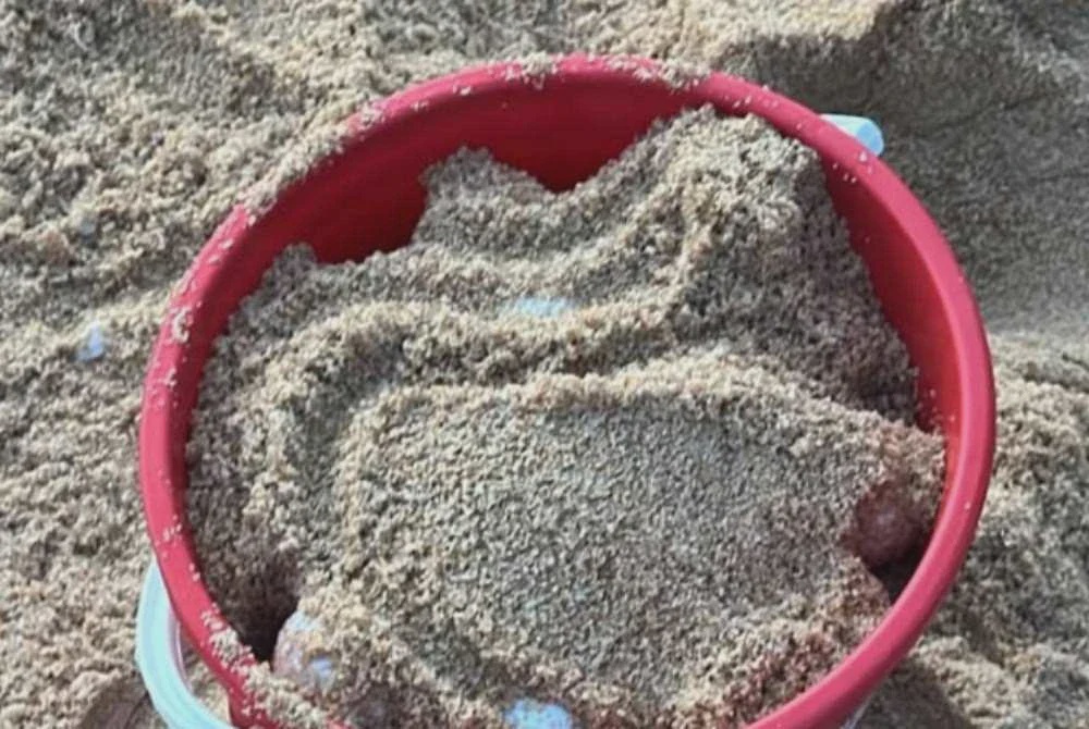 Image from: Penyu belimbing mendarat kali keempat di Pantai Terengganu
