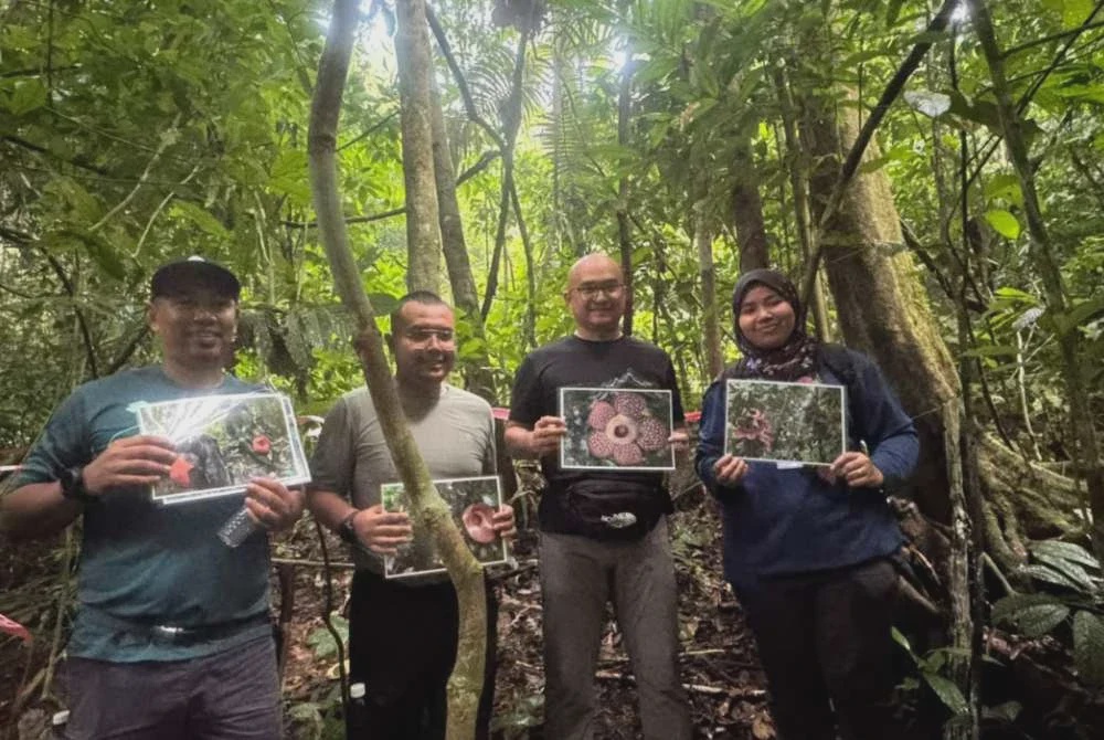 Image from: Keunikan Rafflesia di Lata Jarum