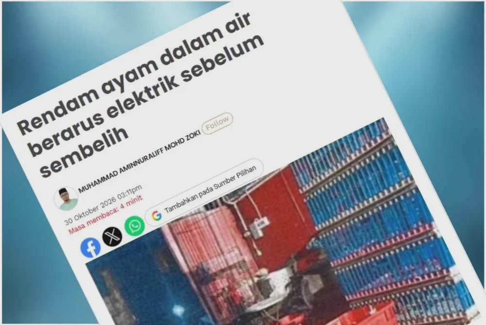 Image from: Renjat ayam hingga mati, premis di Puchong sembelih bangkai - MAIS