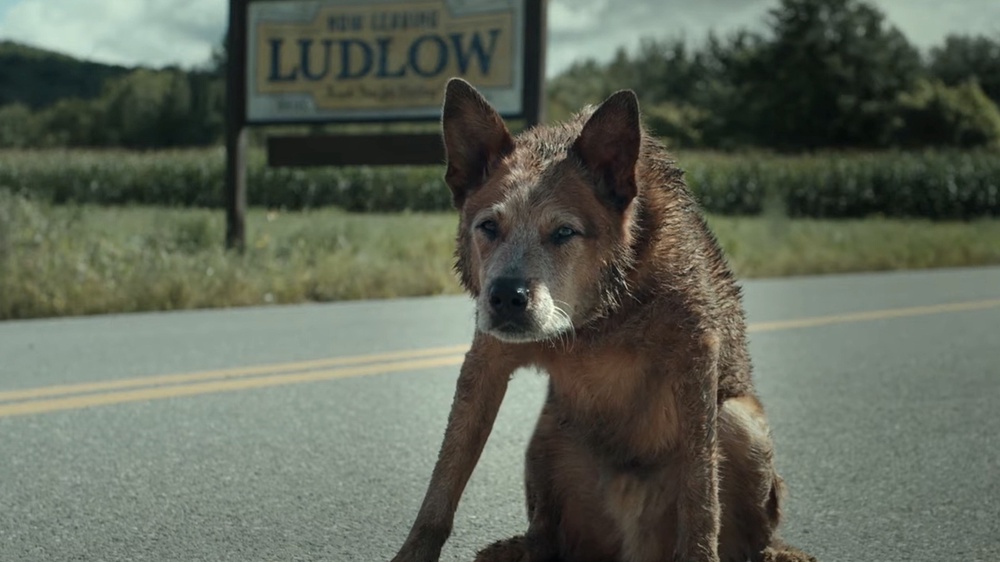 The Pet Sematary: Bloodlines Trailer Takes You Back To Stephen King's