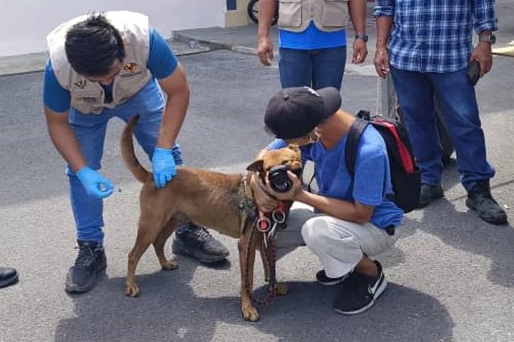 Sarawak enforces mandatory anti-rabies vaccination for all pets dogs