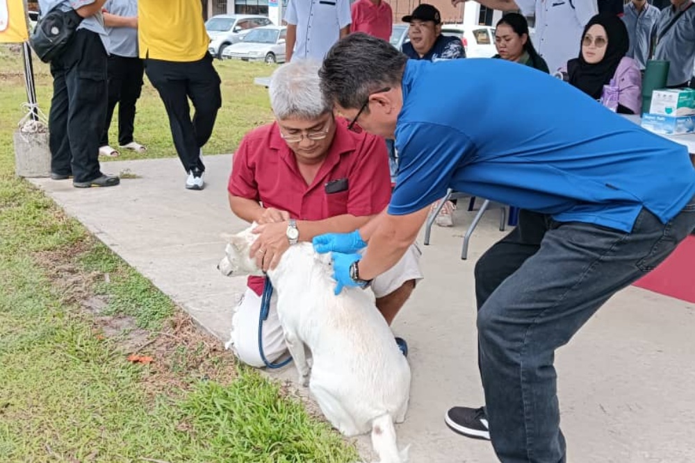Rabies awareness programme, vaxx drive in Bintulu this weekend