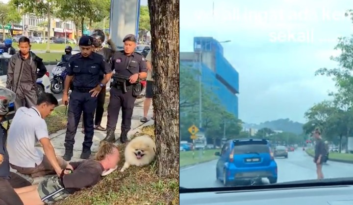 [Watch] Woman Pinned Down By Public After Bizarre Traffic Disruption ...
