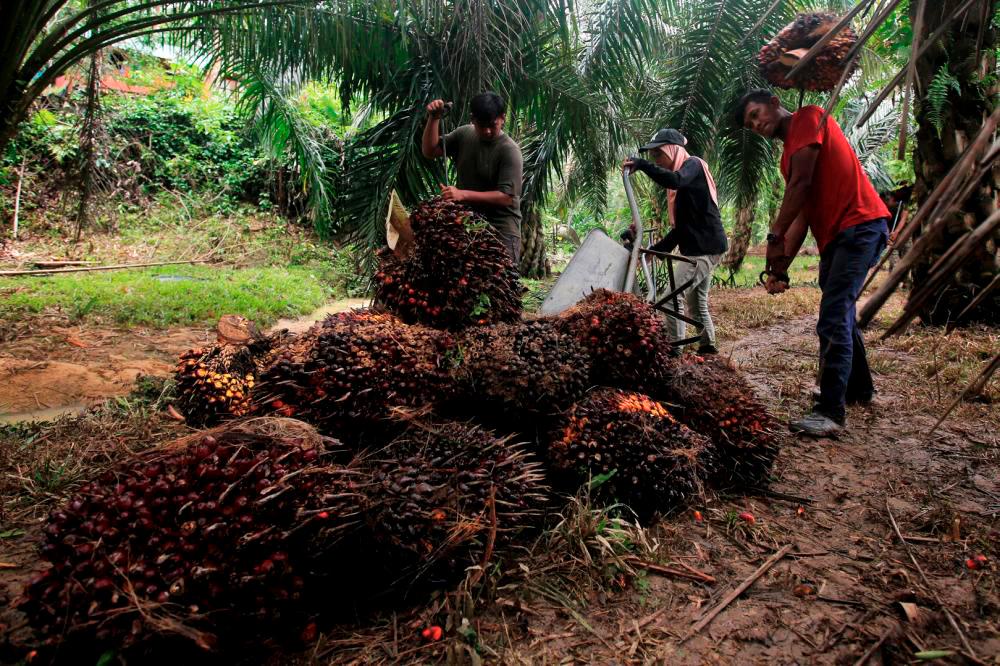 Malaysian palm oil industry set to tap more opportunities in ASEAN market