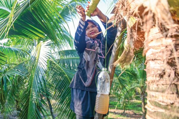 Image from: Pertahan cara tradisional nisan kerek