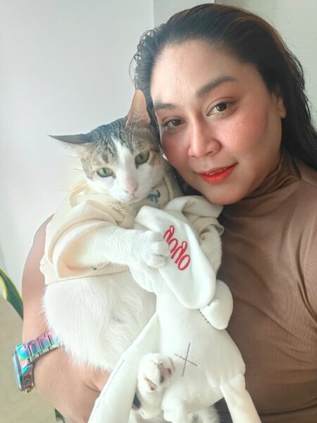 Image from: Yoyo kucing jalanan disayangi dua keluarga