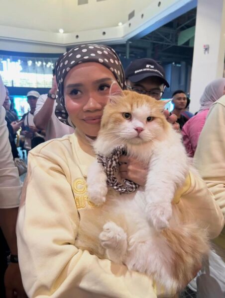 Image from: Rocket si kucing ‘kaki bersosial’