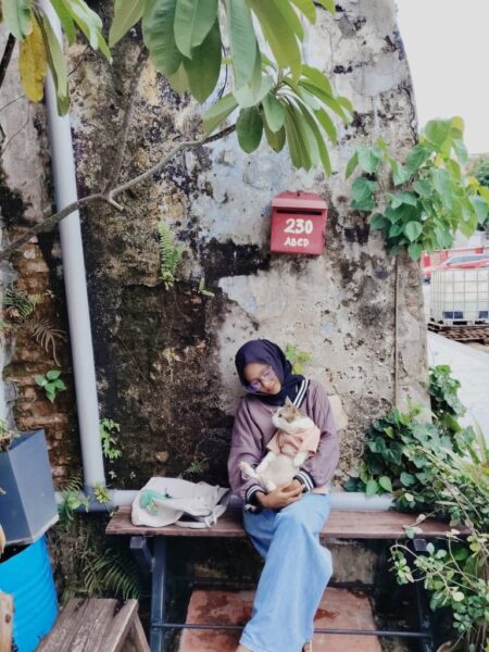 Image from: Yoyo kucing jalanan disayangi dua keluarga