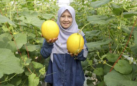 Image from: Ladang Puchong platform UPM dekatkan inovasi agroteknologi dengan masyarakat