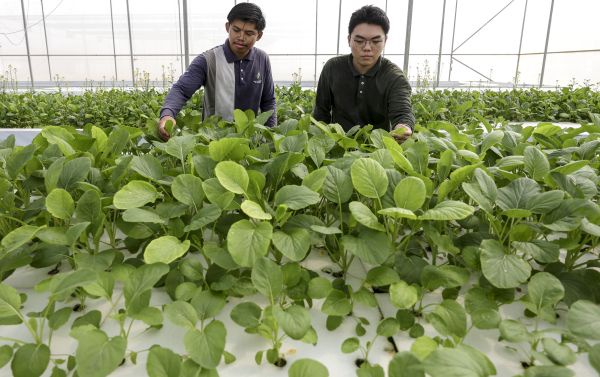 Image from: Ladang Puchong platform UPM dekatkan inovasi agroteknologi dengan masyarakat