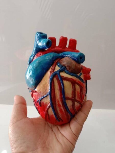 Image from: Ketelitian Rifasya hasilkan model makanan, organ manusia