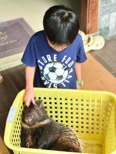 Image from: Blacky pandai buka sangkar, bawa geng berjalan