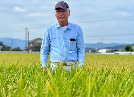 Image from: Padi tahan haba selamatkan petani Jepun
