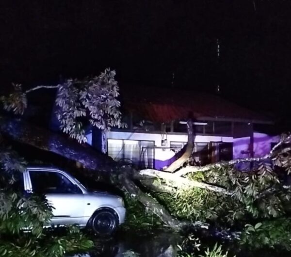 Image from: Pulau Pinang dilanda banjir kilat, insiden pokok tumbang