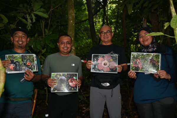 Image from: Empat jenis Rafflesia kembang atas akar tarik pengunjung ke Lata Jarum