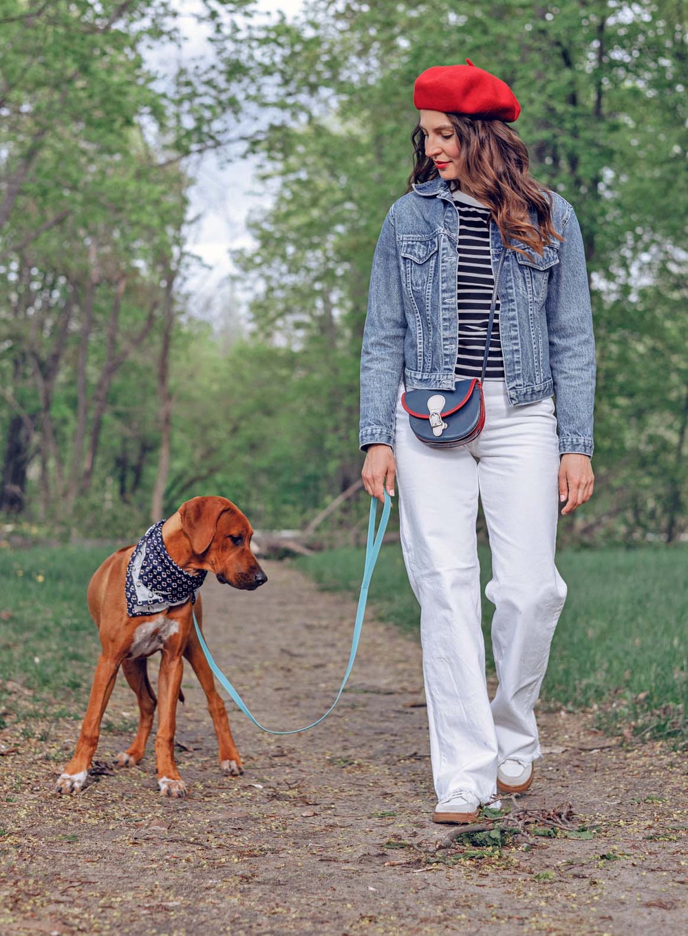 how-far-can-i-walk-my-puppy