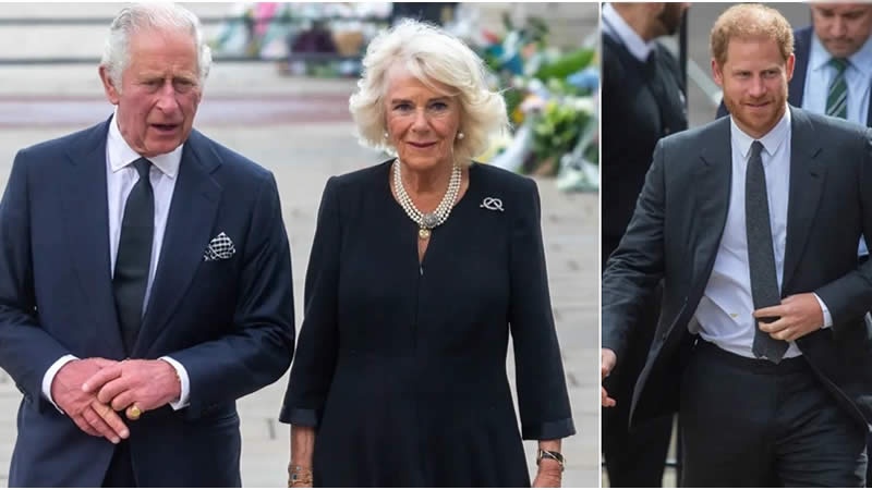 King Charles seemed to be “sick of” Queen Camilla complaining about ...