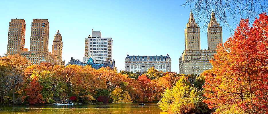 Ismail Sabri found Inspiration for a garden at NY City's Central Park is yet to be inspired to call a GE!