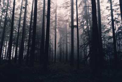 Do You Know Enough Of Our Local Supernatural Residents? Some Malaysian Scary Tales To Know!