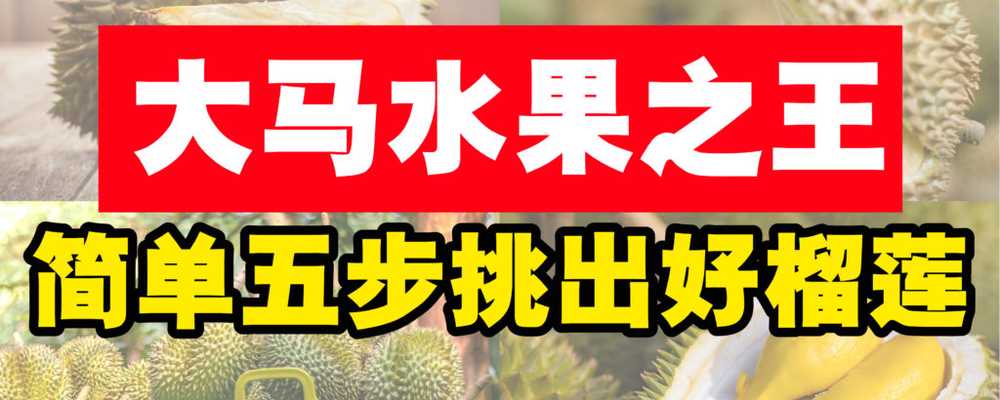 如何挑选好的榴莲