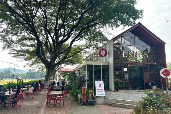 Café Feature Series #6: Where Café Meets Nature and Horses
