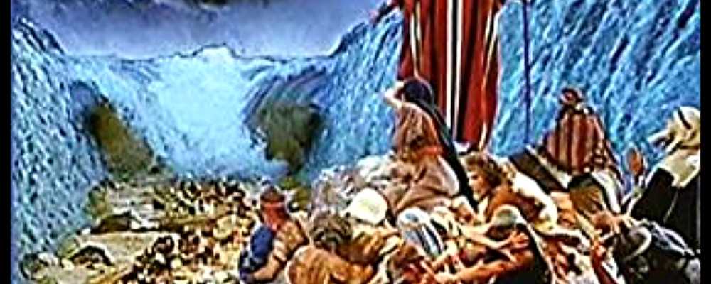 Build an Ark like Noah's or Get Zahid to hold back floods the way Moses did for you to get to polling stations in GE15