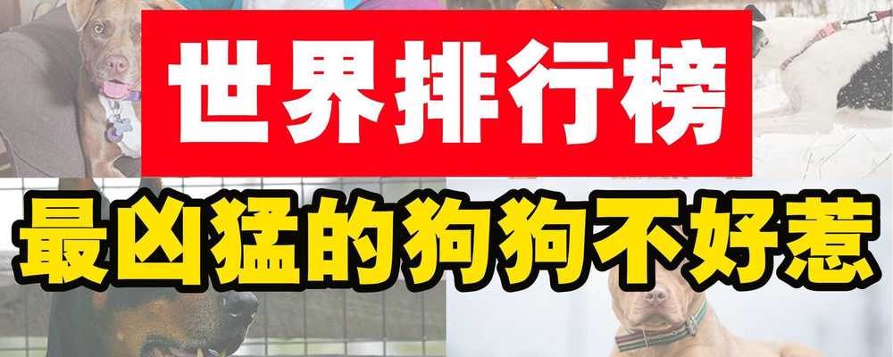 世界排行榜最凶猛的狗