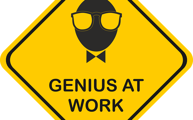 GE15: The work of geniuses